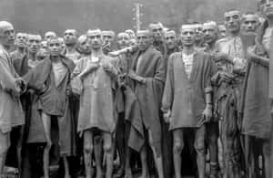 bild nr.3 av Stutthof Concentration Camp: Guidad tur med transport aktivitet i Sztutowo, uppladdad av arrangören