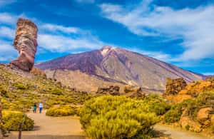 billede nr.3 af aktiviteten Fra det sydlige Tenerife: Dagstur med vandring på Teide-bjerget og svævebane i Kanarieøerne, uploadet af udbyder