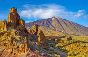 billede nr.4 af aktiviteten Fra det sydlige Tenerife: Dagstur med vandring på Teide-bjerget og svævebane i Kanarieøerne, uploadet af udbyder