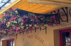 imagem n.3 de De Avignon: Nas pegadas de Van Gogh na Provença atividade em Les Baux-de-Provence, carregada pelo fornecedor