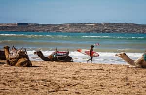 foto no. 3 dari aktivitas Essaouira: Menunggang Unta Selama 2 Jam di Kota Essaouira, diunggah oleh pemasok