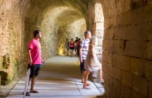 image n.4 of Cádiz: Roman Theatre, Cathedral, and Tavira Tower Tour activity in Cadiz, uploaded by supplier