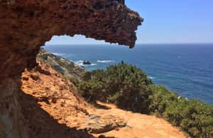 image n.4 of Hiking Tour Along the West Coastline activity in Sesimbra, uploaded by supplier