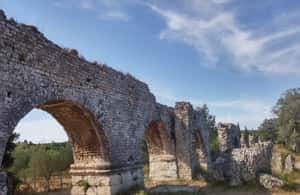 imagem n.3 de De Marselha: Excursão de 1 dia aos vinhos de Les Baux de Provence atividade em Saint-Rémy-de-Provence, carregada pelo fornecedor