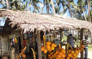 image n.4 of Kandy: Sigiriya Fortress & Cave Temple Full Day Private Tour activity in Dambulla, uploaded by supplier
