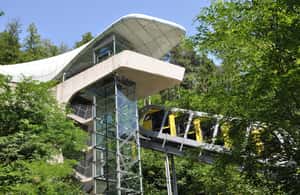 imagem n.3 de Ingresso combinado para o Jardim Zoológico Alpino e Hungerburg atividade em Innsbruck, carregada pelo fornecedor