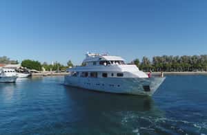 image n.3 of Paphos: Adults Only Cruise with Drinks, Food, Bus, Swim Stop activity in Peyia, uploaded by supplier