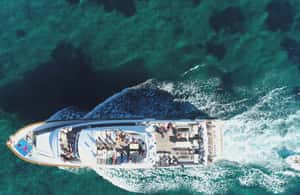 image n.4 of Paphos: Adults Only Cruise with Drinks, Food, Bus, Swim Stop activity in Peyia, uploaded by supplier