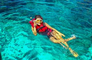 image n.4 of From Dubai: Snorkeling Trip to Dibba Al-Fujairah activity in Dubai, uploaded by supplier