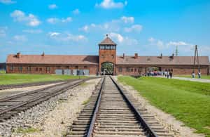 Immagine nº 4 di Da Varsavia: Tour guidato ad Auschwitz-Birkenau e a Cracovia attività a Oswiecim, caricata dal fornitore