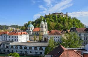 Bild Nr. 3 von Ljubljana: City Card Aktivität in Ljubljana, hochgeladen vom Anbieter