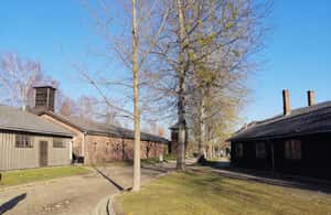Immagine nº 3 di Da Varsavia: Tour di Auschwitz-Birkenau in auto attività a Oswiecim, caricata dal fornitore