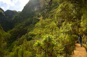 image n.3 of Madeira Walks - Rabaçal and the 25 Fountains activity in Madeira, uploaded by supplier