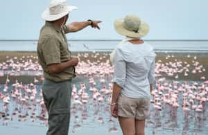 image n.3 of Walvis Bay: 4x4 Desert Excursion to Sandwich Harbour Bay activity in Erongo, uploaded by supplier