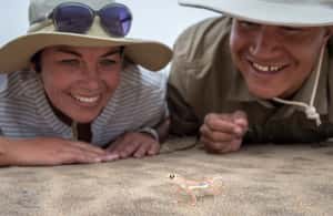 image n.4 of Walvis Bay: 4x4 Desert Excursion to Sandwich Harbour Bay activity in Erongo, uploaded by supplier