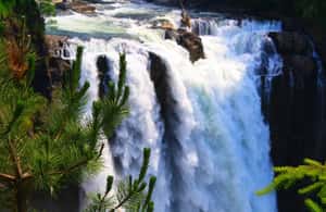 תמונה מס' 3 מתוך מסיאטל: מפלי סנקולמי וטעימות יין וודינוויל, פעילות במדינת וושינגטון, הועלתה על-ידי הספק