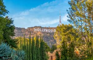 image n.4 of Los Angeles: Hollywood & Celebrity Homes Open-Air Bus Tour activity in Los Angeles, uploaded by supplier