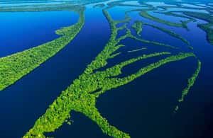 image n.4 of Manaus: Amazonas Jungle and Anavilhanas Archipelago Trek activity in North Region, Brazil, uploaded by supplier