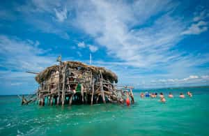 imagem n.3 de De Negril: Cruzeiro de Catamarã no Pelican Bar atividade em Negril, carregada pelo fornecedor