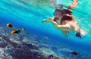 gambar no.4 daripada Coron: Tebing Pantai, Pantai & Lawatan Melompat Pulau Malcapuya aktiviti di Coron, dimuat naik oleh pembekal 