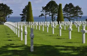 image n.4 of From Bayeux: American D-Day Sites in Normandy Full-Day Tour activity in Colleville-sur-Mer, uploaded by supplier