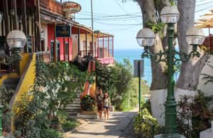 image n.3 of Full-Day Lima: a Culinary, Historic & Traditional City activity in Lima, uploaded by supplier