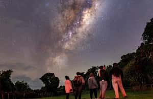 image n.3 of Tawharanui: Kiwi Spotting & Stargazing Tour w/ Optional Stay activity in Auckland, uploaded by supplier