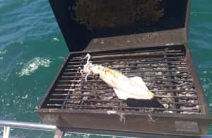 image n.4 of Half Day Fishing Trip activity in Cascais, uploaded by supplier