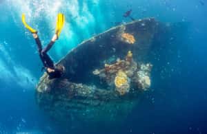 bilde nr.3 av Bali: Tulamben Bay og USAT Liberty Wreck Dive aktivitet i Karangasem Regency, lastet opp av leverandør