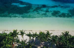 imatge núm.4 de l'activitat de Dumaguete: visita privada a l'illa de Siquijor i Cambugahay Falls a Dumaguete, penjada pel proveïdor