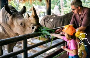 Bild Nr. 3 von Krakau: Zoo mit Abholung vom Hotel Aktivität in Krakau, hochgeladen vom Anbieter