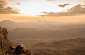 image n.4 of From Sharm: Mount Moses Trekking, Sunrise & Monastery Visit activity in Sharm el-Sheikh, uploaded by supplier