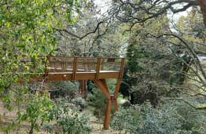 imaginea n.3 a activității Porto: Tur pe jos prin grădinile Serralves, dedicat artei și arhitecturii în Porto, încărcată de organizator