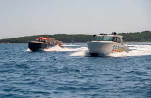 image n.4 of Brač: Blue Cave Island Hopping Luxury Tour activity in Dalmatia, uploaded by supplier