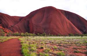 Image N°3 de Uluru : visite des sites sacrés et coucher de soleil avec vin et plateau de fromage activité à Territoire du Nord, Australie, publiée par le prestataire