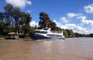 imagem n.3 de Desde Buenos Aires: Passeio de barco pelo Delta do Tigre atividade em Buenos Aires, carregada pelo fornecedor