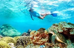 Immagine nº 3 di Muscat: Tour di osservazione dei delfini e snorkeling attività a Mascate, caricata dal fornitore