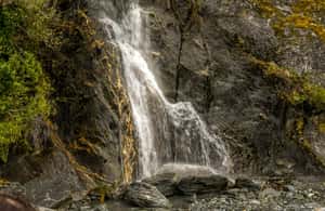 image n.4 of Queenstown to Franz Josef Tour via Wānaka (One-Way) activity in Fox Glacier, uploaded by supplier