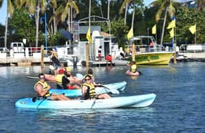 image n.3 of Miami: Kayak or Paddleboard Rental activity in Miami, uploaded by supplier