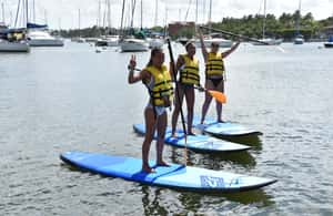 image n.4 of Miami: Kayak or Paddleboard Rental activity in Miami, uploaded by supplier