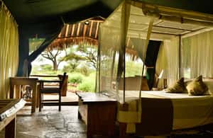 image n.4 of From Nairobi: 2-Day Amboseli National Park Safari activity in Central Kenya, uploaded by supplier