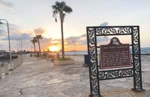 Immagine nº 3 di New Orleans: tour della città e del cimitero in autobus di 2 ore e 15 minuti attività a New Orleans, caricata dal fornitore
