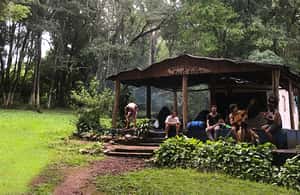 imagem n.4 de De Puerto Iguazu: Visita as Ruínas de San Ignacio e as Minas de Wanda atividade em Puerto Iguazú, carregada pelo fornecedor