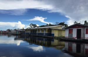 imagen n.º 4 de Desde Manuas: Tour fluvial de día completo actividad en Manaos, subida por el proveedor