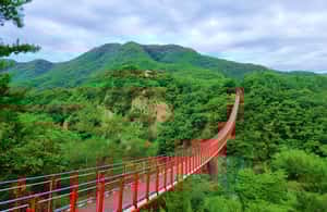 imagen n.º 3 de Seúl: DMZ, tercer túnel y tour opcional al puente colgante actividad en Paju-si, subida por el proveedor