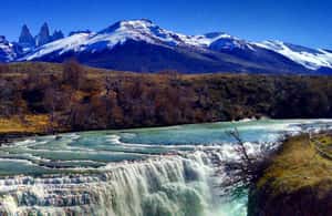 imagem n.4 de De El Calafate: Excursão de 1 dia a Torres del Paine atividade em Puerto Natales, carregada pelo fornecedor