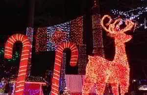 Image N°4 de Vancouver : Visite de Noël avec entrée au festival des lumières activité à Vancouver, publiée par le prestataire