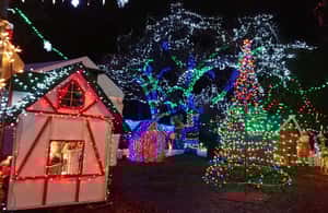 Image N°3 de Vancouver : Visite de Noël avec entrée au festival des lumières activité à Vancouver, publiée par le prestataire