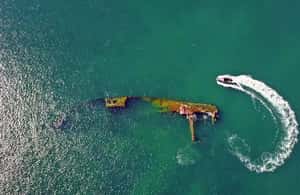 Bild Nr. 4 von Puerto Madryn: Schnorchelausflug mit Seelöwen Aktivität in Puerto Madryn, hochgeladen vom Anbieter