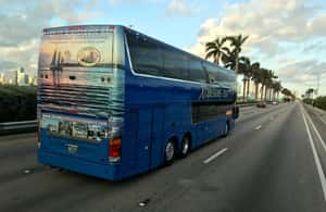 image n.3 of Miami & Key West: One-Way Transfer by Motor Coach Bus activity in United States, uploaded by supplier